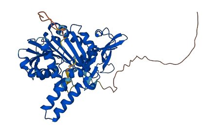 NDUFAF7 3D structure
