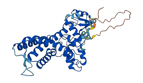 FA2H 3D structure