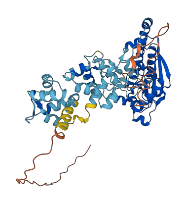 LPCAT2 3D structure