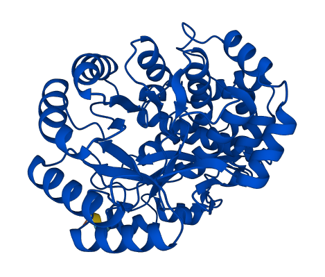 ENOSF1 3D structure