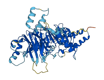 DET1 3D structure