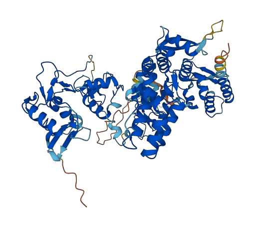 G2E3 3D structure