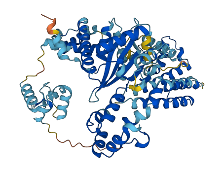 EPM2AIP1 3D structure