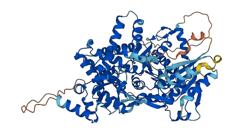 DHX32 3D structure