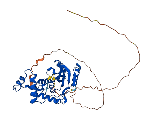 VASH1 3D structure