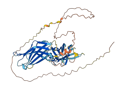 SYT13 3D structure