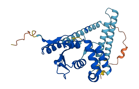 OTUD6A 3D structure