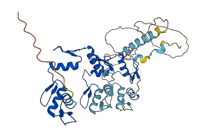 ZNF627 3D structure
