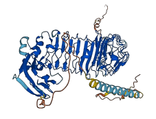 LINGO2 3D structure