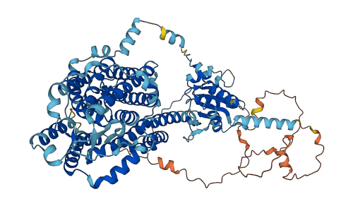 SLC26A9 3D structure