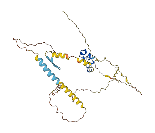 CXXC5 3D structure