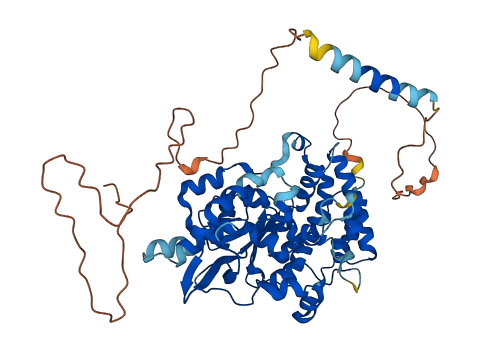 CHST15 3D structure