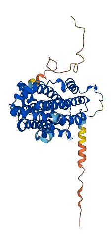 RRM2B 3D structure