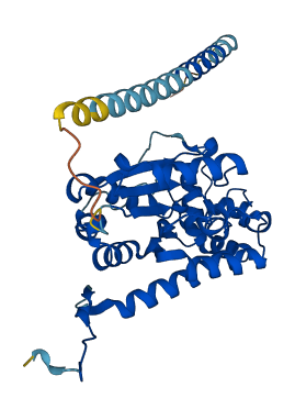 HS2ST1 3D structure