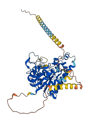 CHST3 3D structure