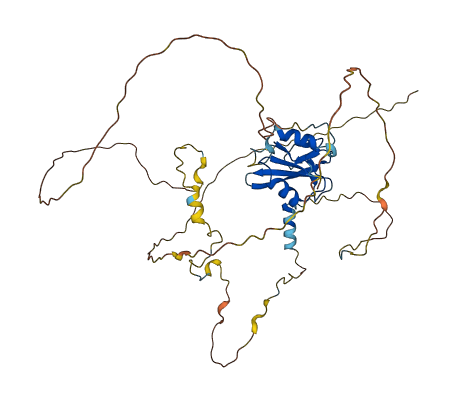 SHF 3D structure