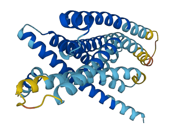Tas2r109 3D structure