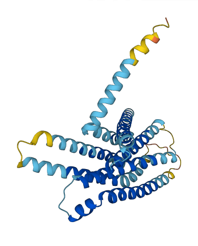 Tas2r129 3D structure