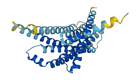 Tas2r125 3D structure