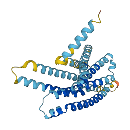 Tas2r113 3D structure