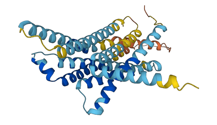Tas2r110 3D structure