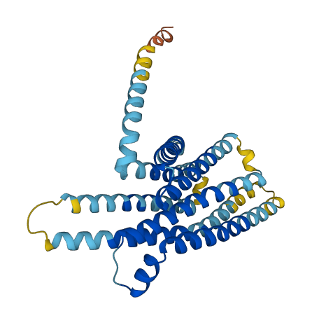 Tas2r117 3D structure