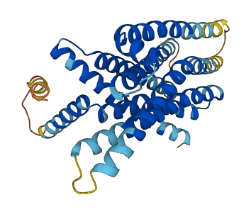 Tas2r102 3D structure