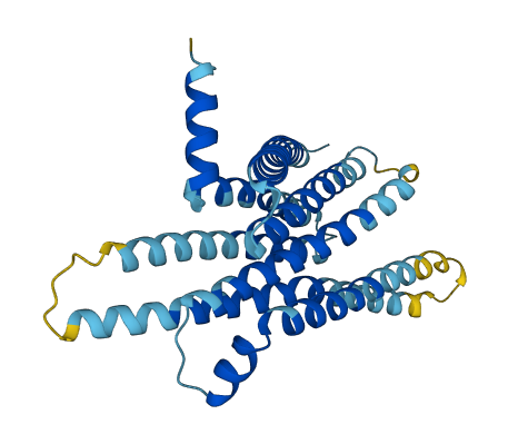 Tas2r120 3D structure