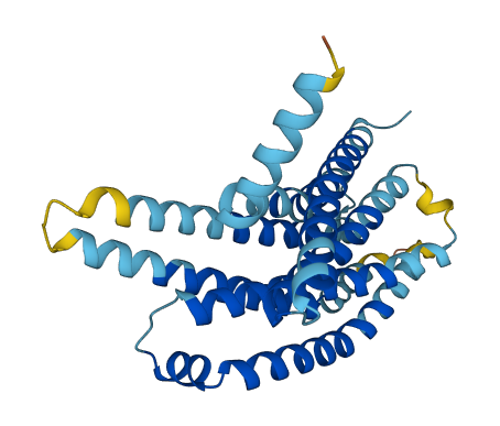 Tas2r104 3D structure