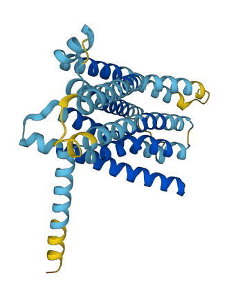 Tas2r106 3D structure