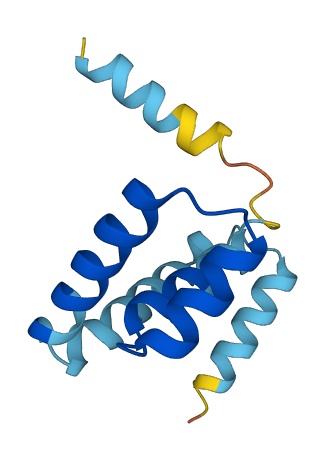 Scgb2b24 3D structure