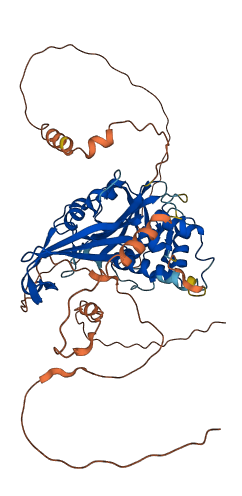 Usp17le 3D structure