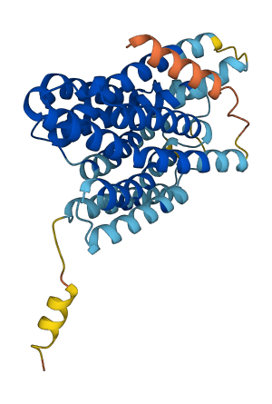 NIPA1 3D structure