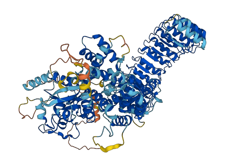 NLRC3 3D structure