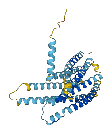 TAS2R42 3D structure