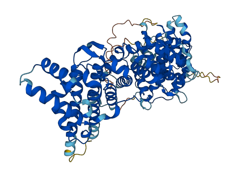 DYM 3D structure