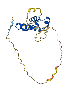 SSX9P 3D structure
