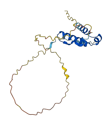 SSX8P 3D structure