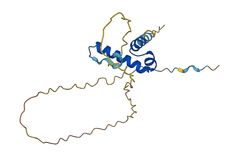 SSX6P 3D structure
