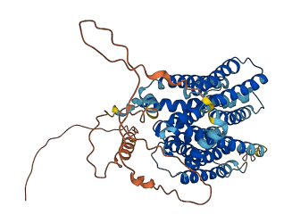 SLC29A4 3D structure