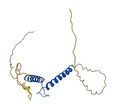 TCF24 3D structure