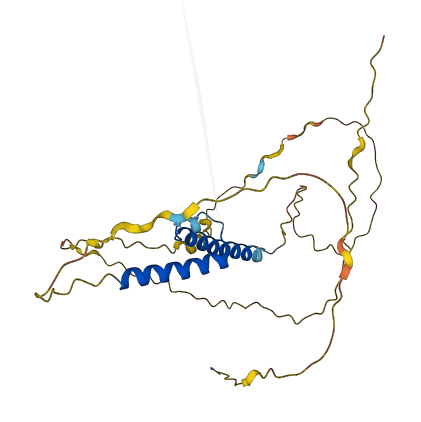 ASCL5 3D structure