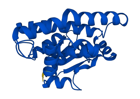 GSTA5 3D structure