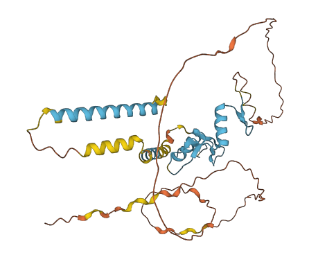 ZNF367 3D structure