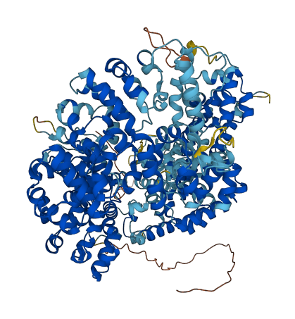 OTOA 3D structure