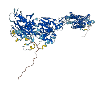 TAS1R3 3D structure