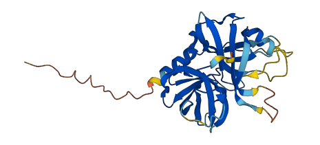 PRSS45P 3D structure
