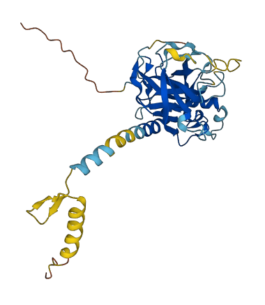 PRSS48 3D structure