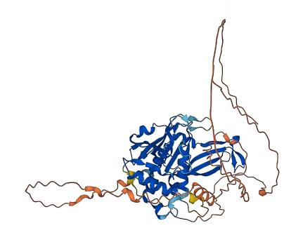 USP17L1 3D structure