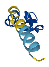Defb37 3D structure